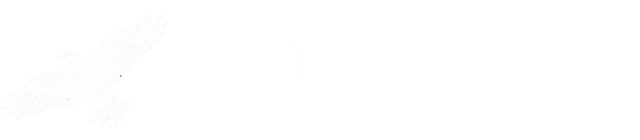Aquila Security